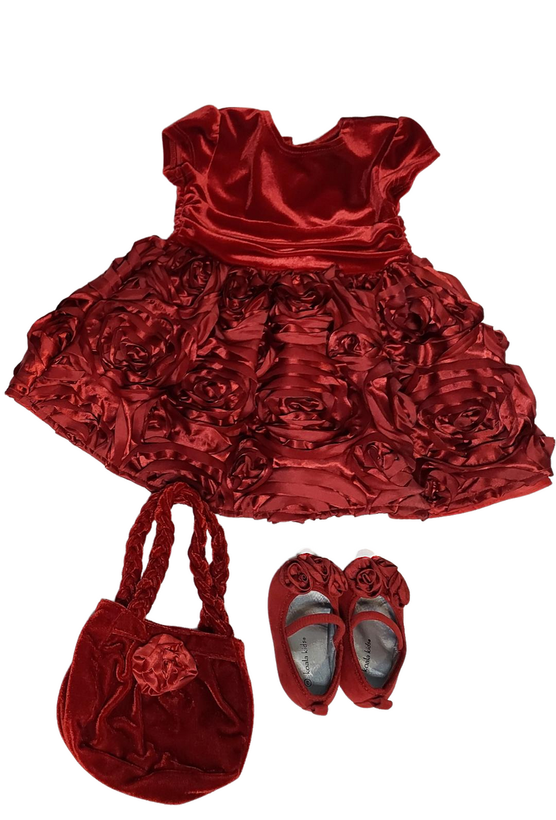 Elegant Red Dress Ensemble size 9 mth